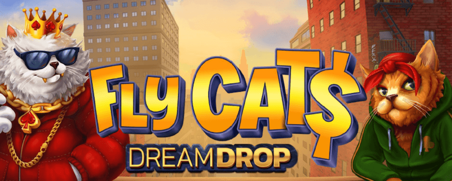 Fly Cat$ Relax Gaming