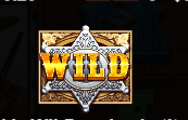 Wild West Gold Megaways slot - símbolos